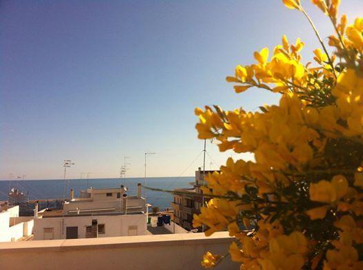 Dimora Delle Rondini Bed and Breakfast Polignano a Mare Buitenkant foto